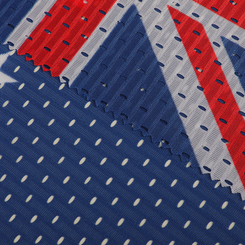 Mesh cloth